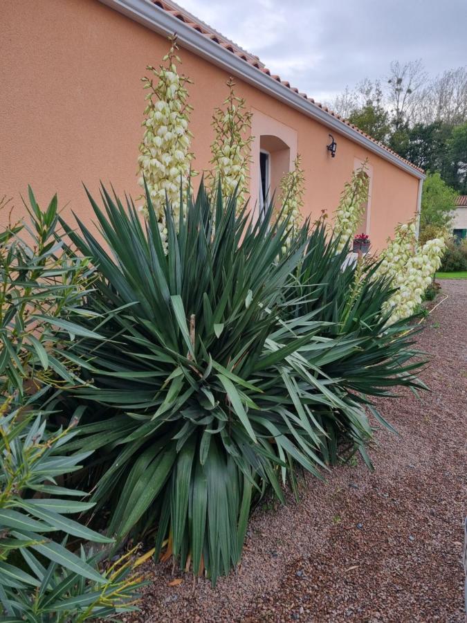 Le Logis Du Marais Bed and Breakfast Les Magnils-Reigniers Buitenkant foto